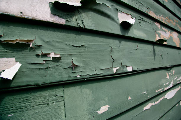 Moving and Downsizing Cleanouts in Coral Gables, FL
